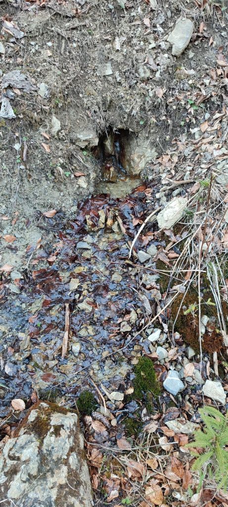 Prameň pri Medvedej ceste panel 4 horný, Ružomberok 01