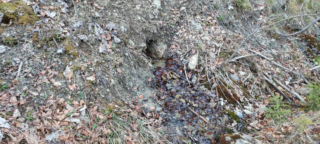 Prameň pri Medvedej ceste panel 4 horný, Ružomberok 02