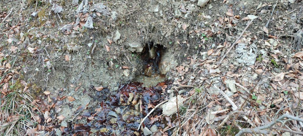 Prameň pri Medvedej ceste panel 4 horný, Ružomberok 03