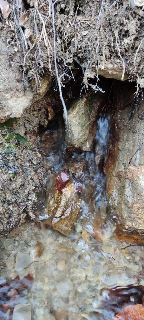 Prameň pri Medvedej ceste panel 4 horný, Ružomberok 04