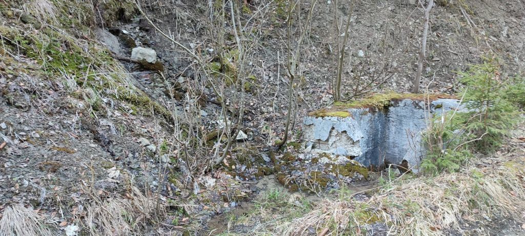 Prameň pri Medvedej ceste panel 5, Ružomberok 01