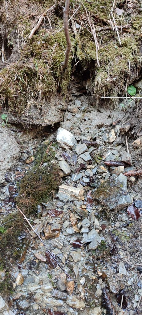 Prameň pri Medvedej ceste panel 5, Ružomberok 02