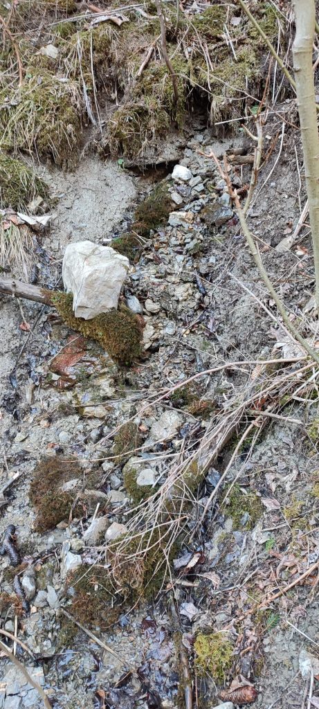 Prameň pri Medvedej ceste panel 5, Ružomberok 04