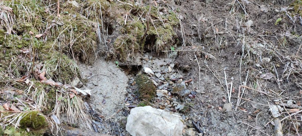 Prameň pri Medvedej ceste panel 5, Ružomberok 05