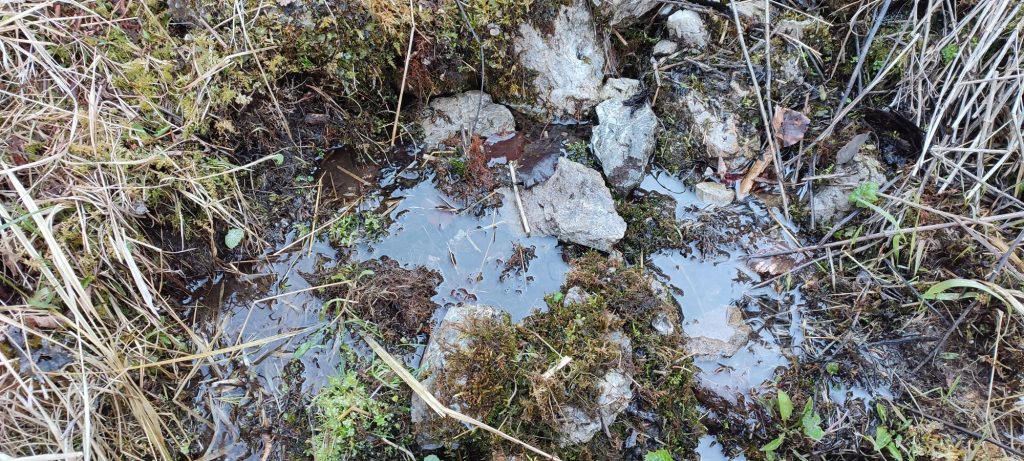 Prameň pri Medvedej ceste pod lanovkou, Ružomberok 03