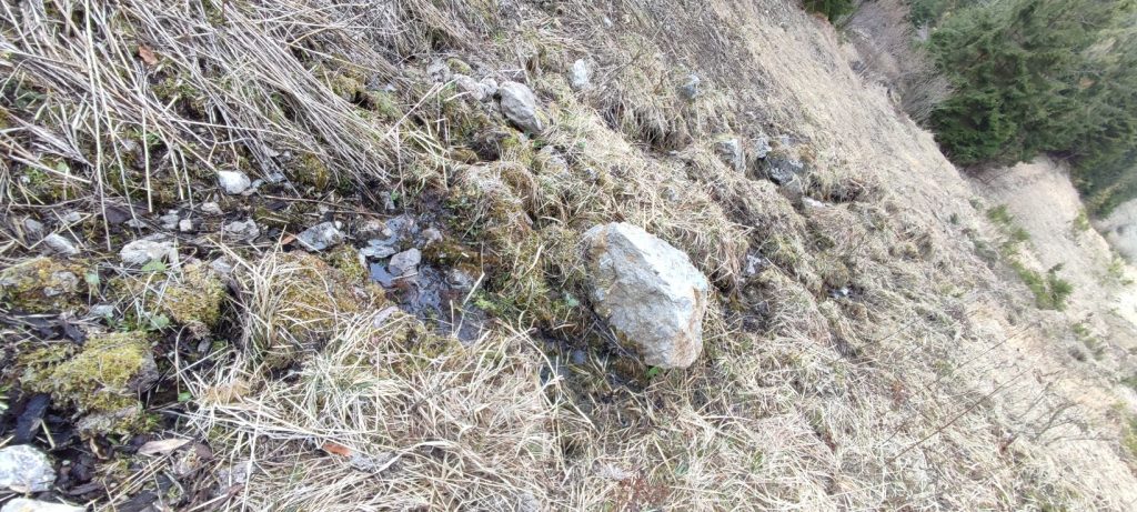 Prameň pri Medvedej ceste pod lanovkou, Ružomberok 04