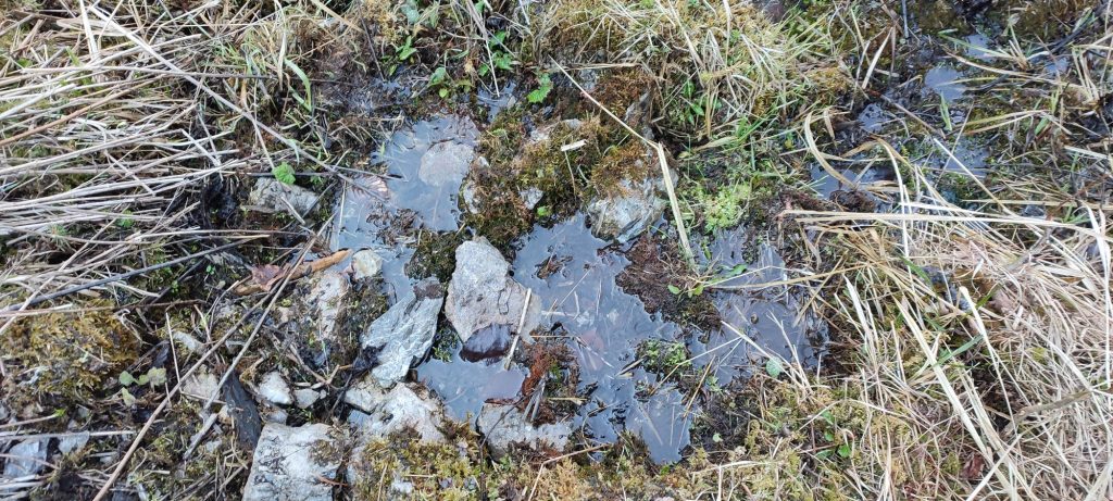 Prameň pri Medvedej ceste pod lanovkou, Ružomberok 05