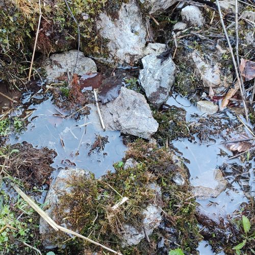 Spring by trail Medvedia Cesta (Bear’s Path), below the cableway, Ružomberok