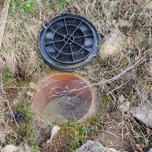 Spring with a drinking basin, Fedorov, Stankovany