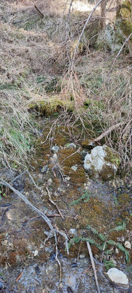 Prameň v lese nad Kalváriou 1, Ružomberok 01