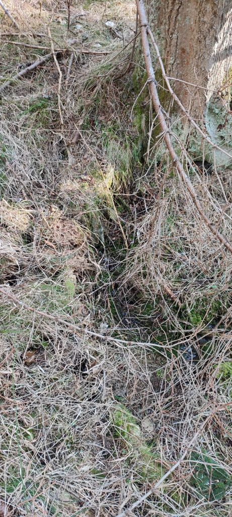 Prameň v lese nad Kalváriou 1, Ružomberok 03