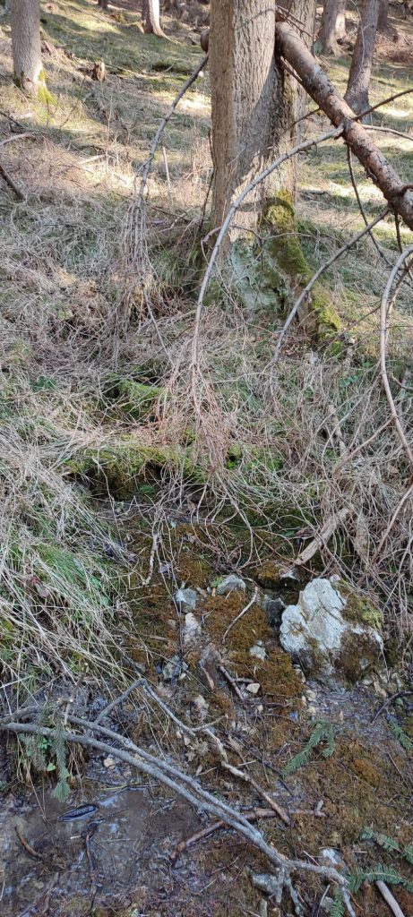 Prameň v lese nad Kalváriou 1, Ružomberok 04