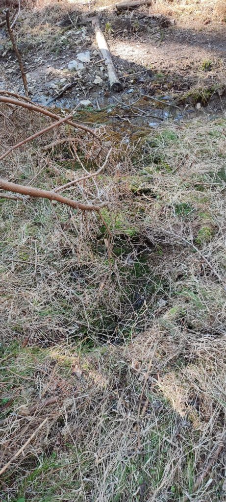 Prameň v lese nad Kalváriou 1, Ružomberok 05