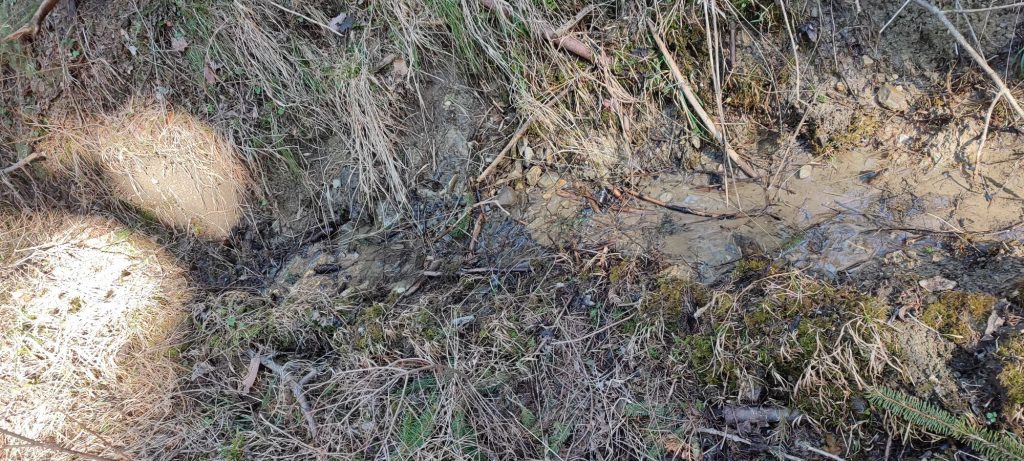 Prameň v lese nad Kalváriou 2, Ružomberok 01