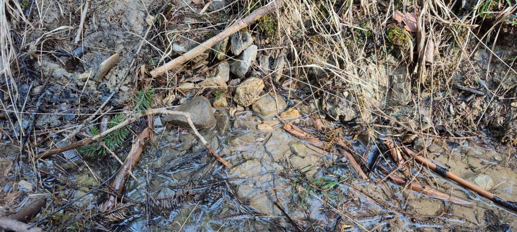 Prameň v lese nad Kalváriou 2, Ružomberok 02