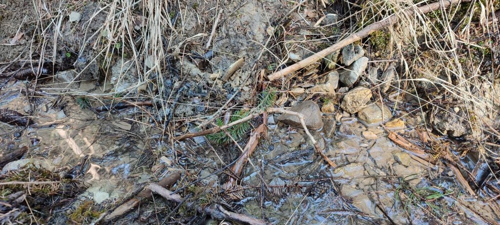 Prameň v lese nad Kalváriou 2, Ružomberok 03