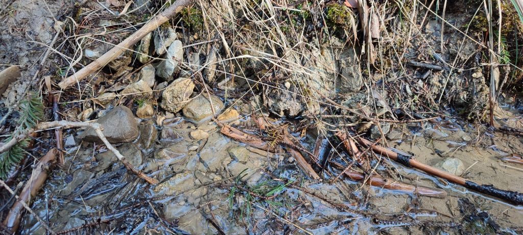 Prameň v lese nad Kalváriou 2, Ružomberok 04