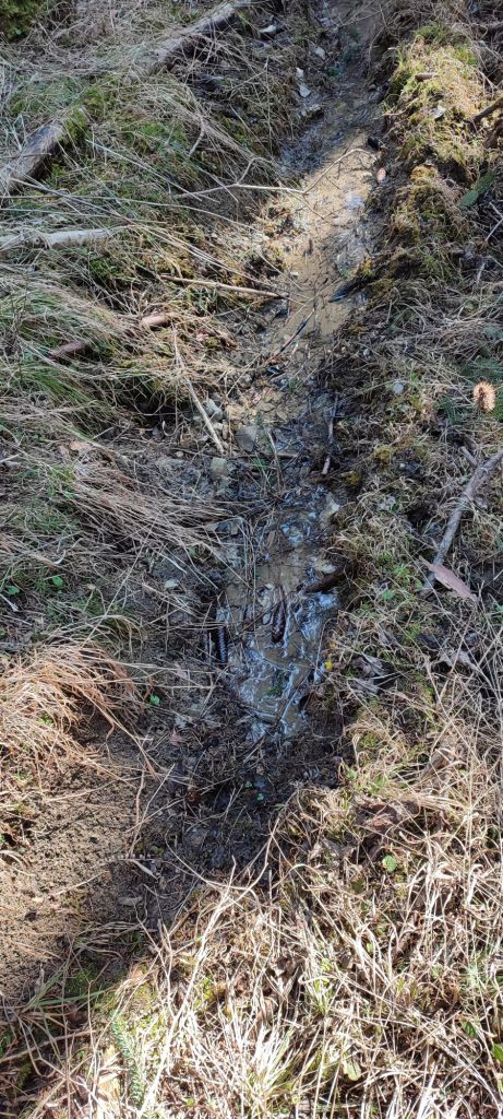 Prameň v lese nad Kalváriou 2, Ružomberok 05