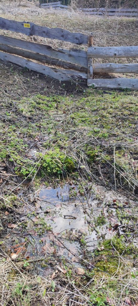 Pramenisko pod Farmou pod Sidorovom, Ružomberok 01
