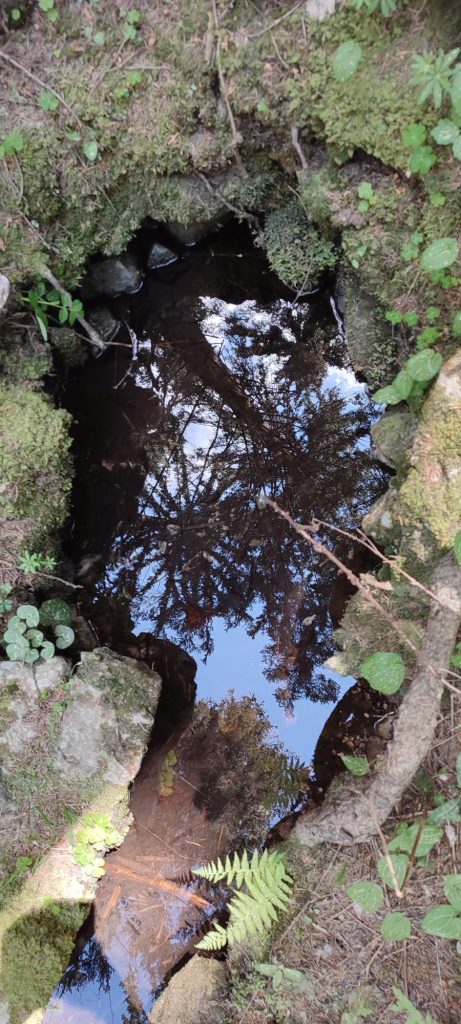 Prameň nad Blatnivou, Černová 02