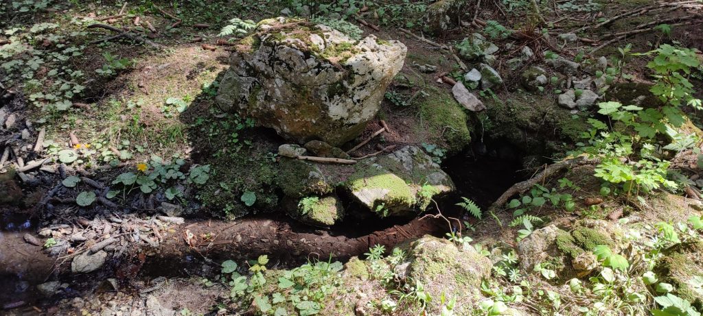 Prameň nad Blatnivou, Černová 05