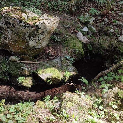 Prameň nad Blatnivou, Černová