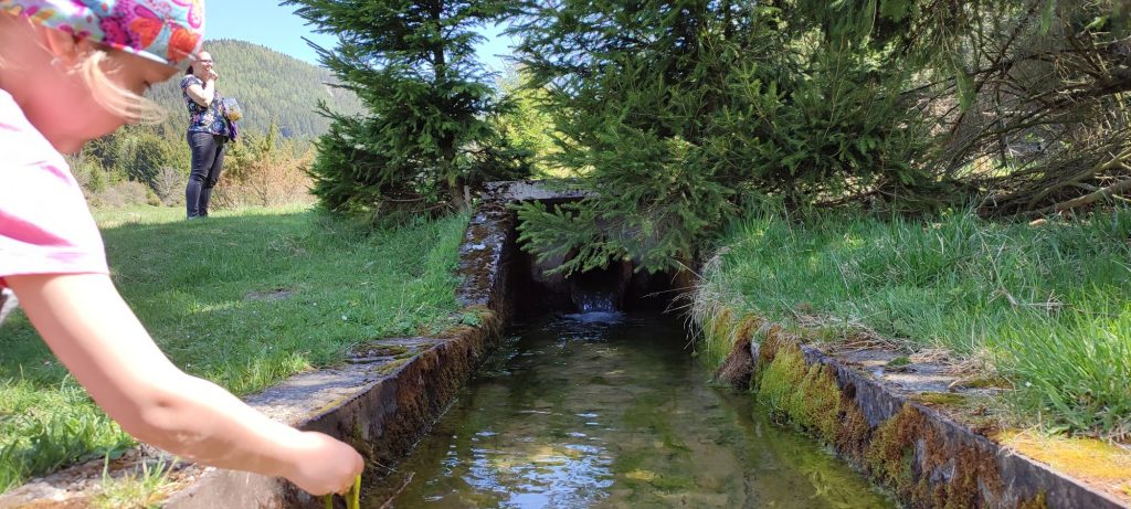 Prepad vodojemu pri meandroch, Liptovská Lúžna 05