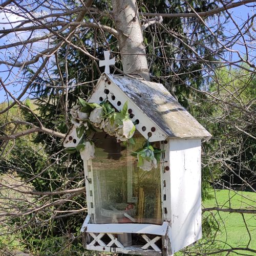 Zastavenie Pod Meandrami, Liptovská Lúžna