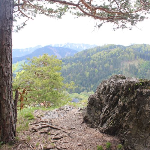 020 Žiar (Vyhliadka)