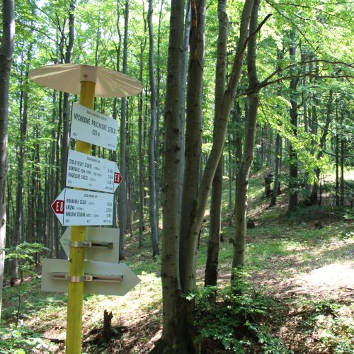 Historickými cestami