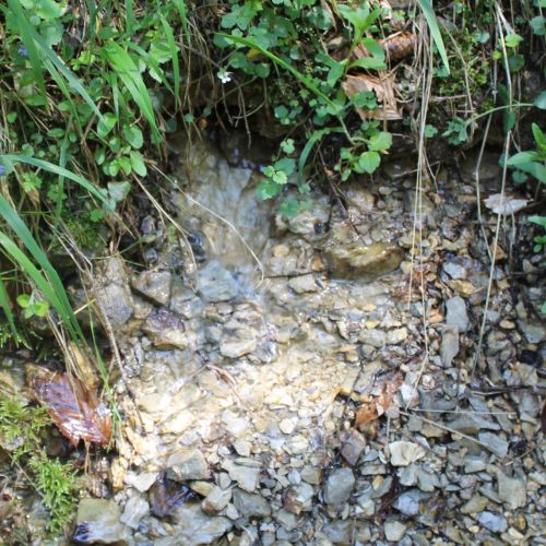 Prameň Staníkov 1, Kalameny