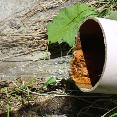 Prameň pri Studničke Anička 2, Kalameny