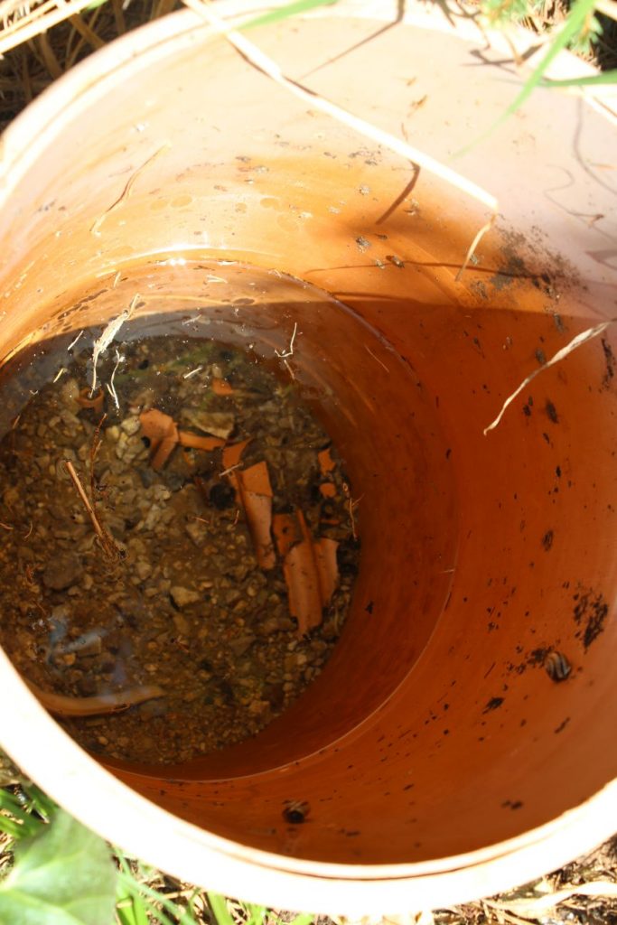 Prameň pri Studničke Anička 3, Kalameny 01