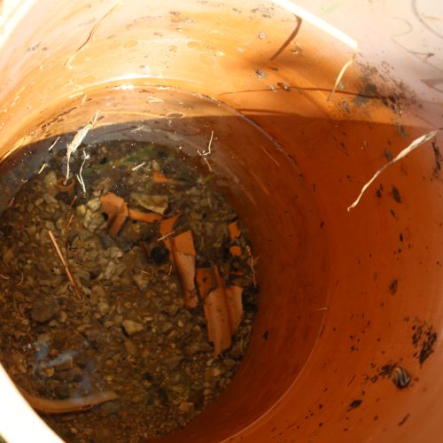 Prameň pri Studničke Anička 3, Kalameny