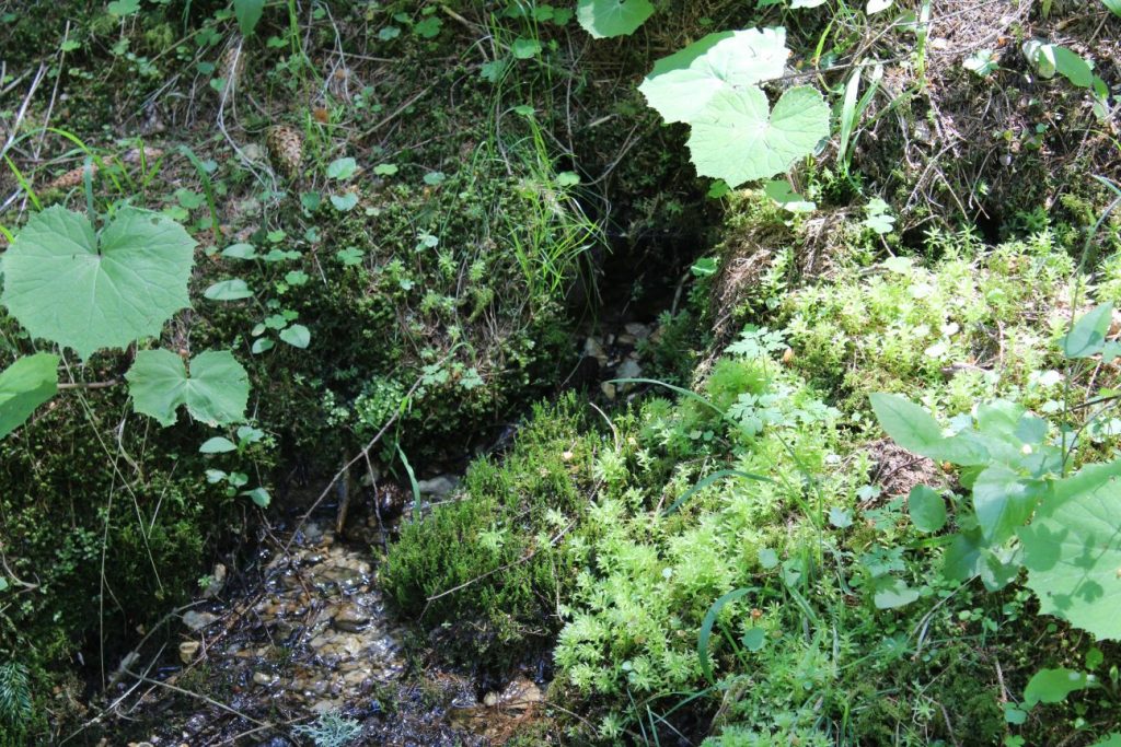 Prameň pri kríži v doline, Kalameny 01