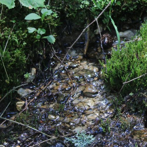 Prameň pri kríži v doline, Kalameny