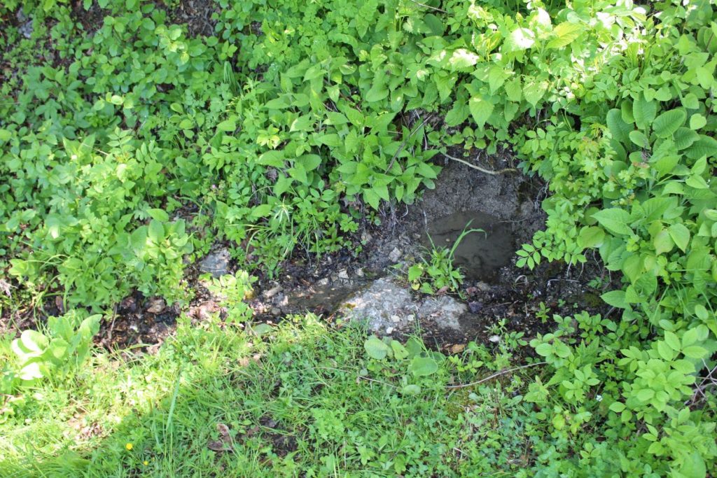 Prameň pri smerovníku Podšíp pravý, Stankovany 02