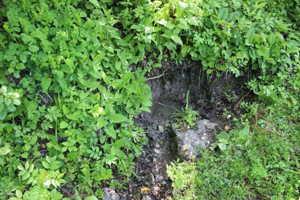 Prameň pri smerovníku Podšíp pravý, Stankovany 03