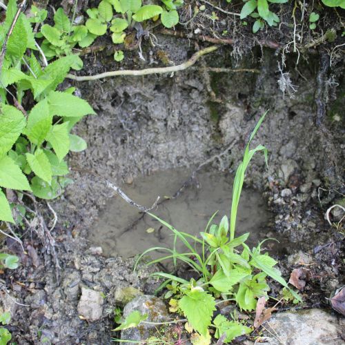 Prameň pri smerovníku Podšíp pravý, Stankovany