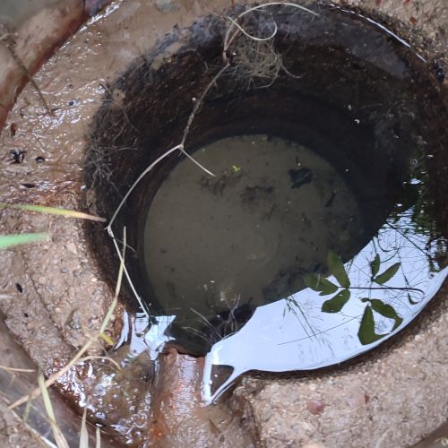 Prameň Rakytina, Komjatná