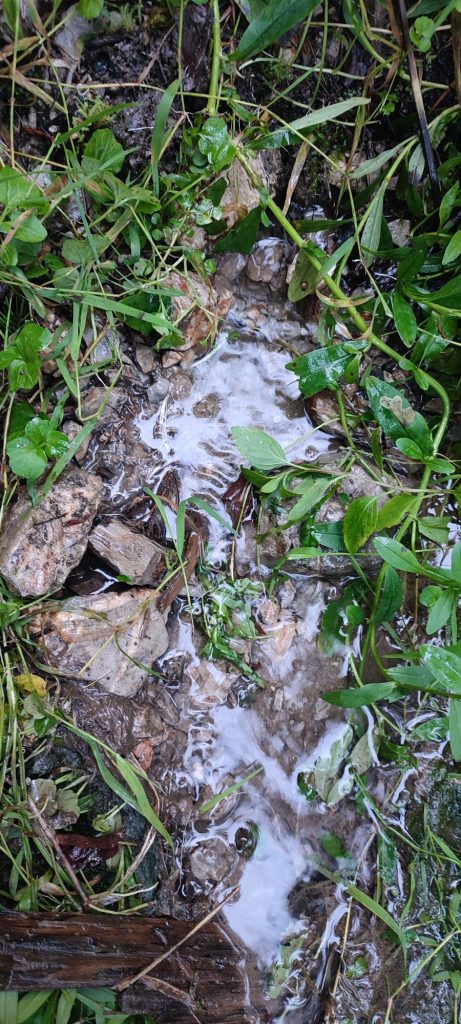 Prameň Klucmanová, Černová 01