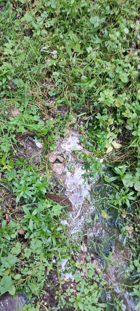 Prameň Klucmanová, Černová 02