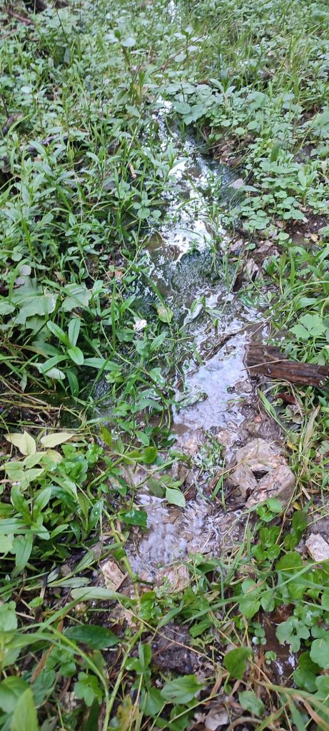 Prameň Klucmanová, Černová 03