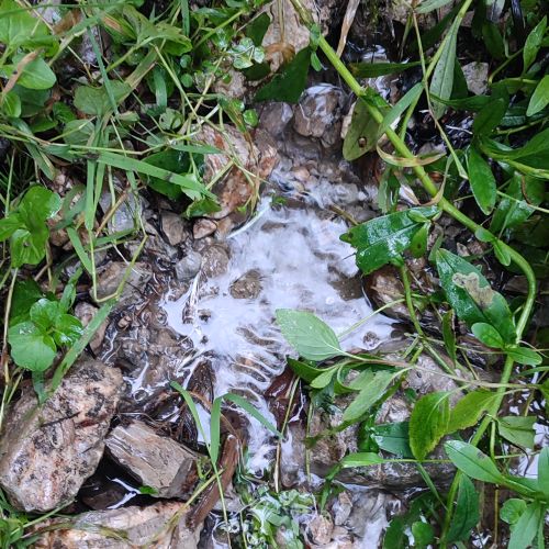 Prameň Klucmanová, Černová