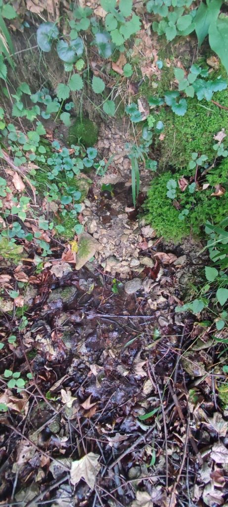 Prameň Vyšné Tiché pri skautskej chate, Ružomberok - Podsuchá 02 Prameň Vyšné Tiché pri skautskej chate, Ružomberok - Podsuchá 02