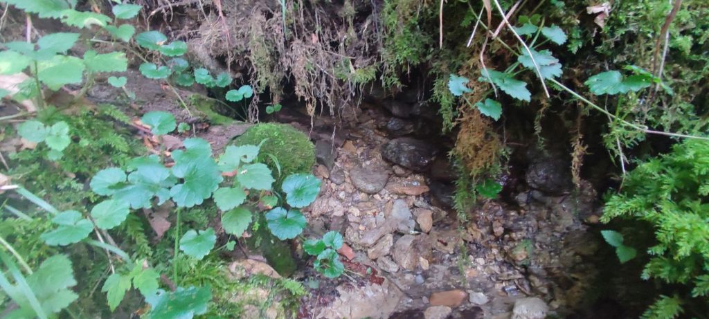 Prameň Vyšné Tiché pri skautskej chate, Ružomberok - Podsuchá 03 Prameň Vyšné Tiché pri skautskej chate, Ružomberok - Podsuchá 03