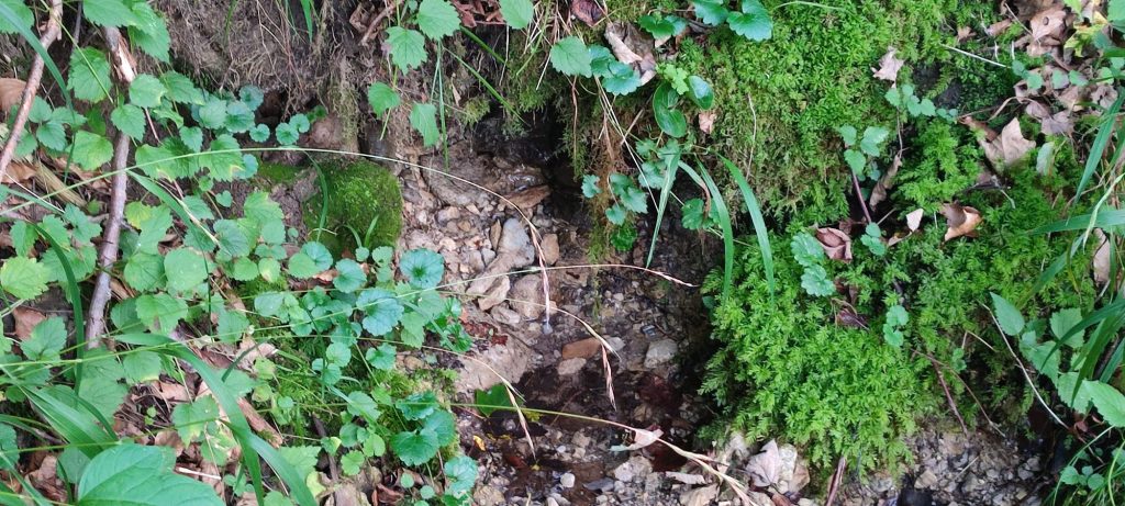 Prameň Vyšné Tiché pri skautskej chate, Ružomberok - Podsuchá 04 Prameň Vyšné Tiché pri skautskej chate, Ružomberok - Podsuchá 04