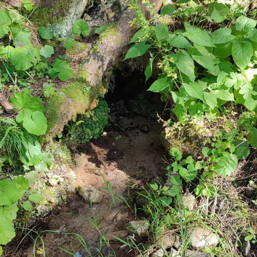 Prameň pod lokalitou Klucmanová 2, Černová