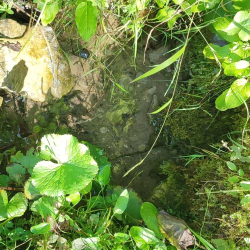 Prameň pod lokalitou Klucmanová 3, Černová