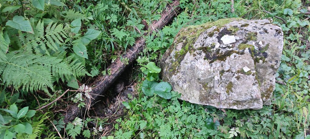 Prameň pod prameňom Klucmanová, Černová 01 Prameň pod prameňom Klucmanová, Černová 01